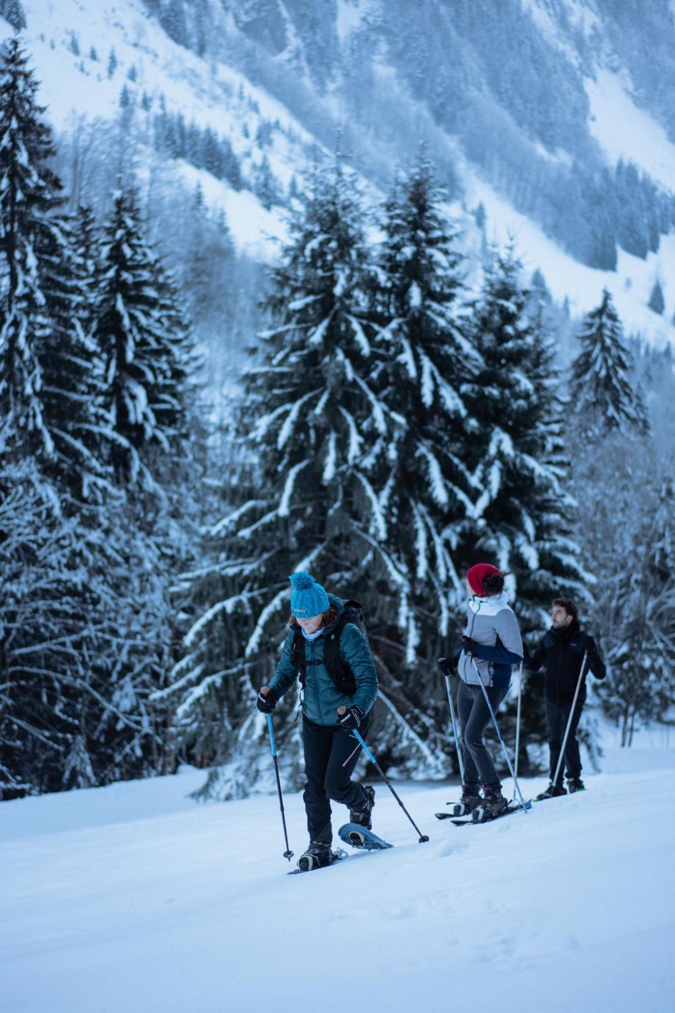 Chalet 1864 Le Grand-Bornand Ngoại thất bức ảnh